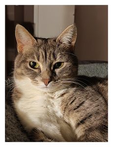 Paillette de Charlieu